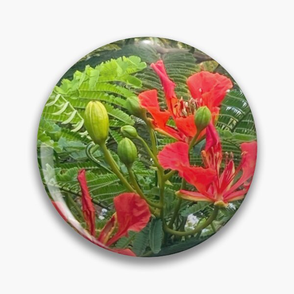 Item preview, Royal poinciana flowers designed and sold by Ben Waggoner.