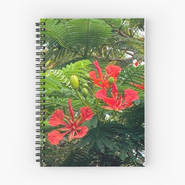 Item preview, Royal poinciana flowers designed and sold by Ben Waggoner.