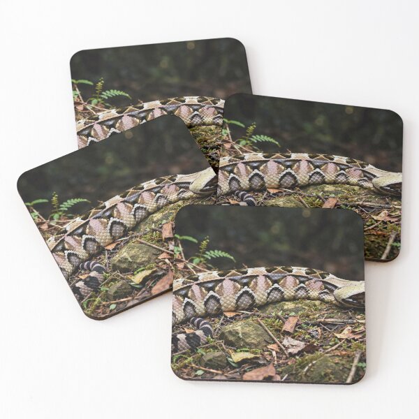Item preview, Gaboon Viper Art designed and sold by gtara1.
