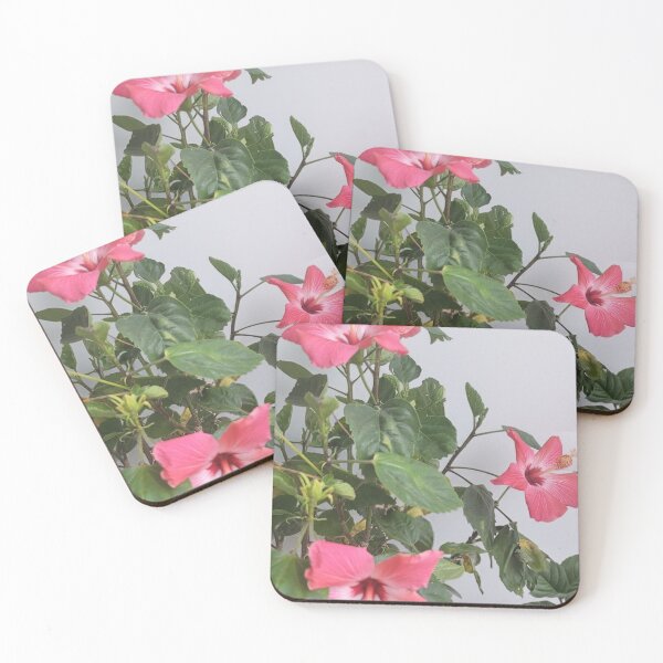 Item preview, Vibrant Pink Hibiscus Blossoms designed and sold by HowlingArcanaWolf.