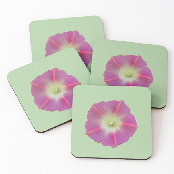 Item preview, Pink Morning Glory designed and sold by ambervpk.