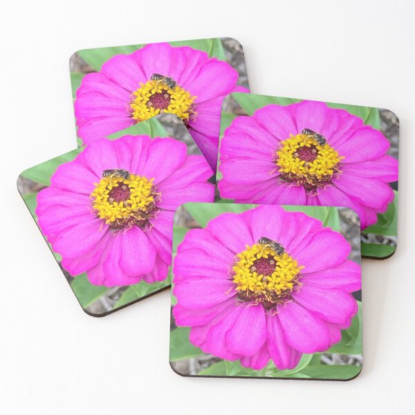 Item preview, Bee on Zinnia designed and sold by Ben Waggoner.