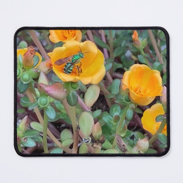 Item preview, Green Metallic Bee on Purslane  designed and sold by Ben Waggoner.