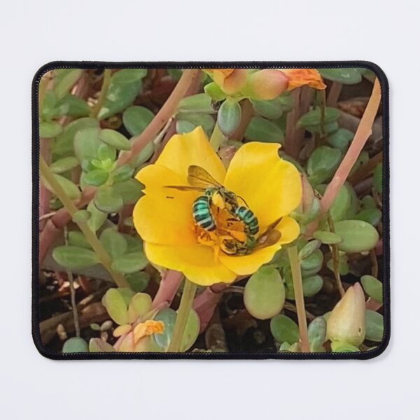 Item preview, Green Metallic Bees on Purslane designed and sold by Ben Waggoner.