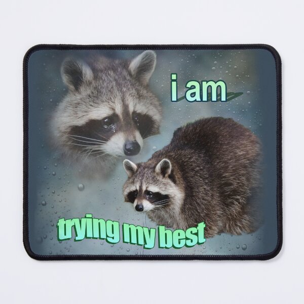 Item preview, I am trying my best raccoon word art meme designed and sold by snazzyseagull.
