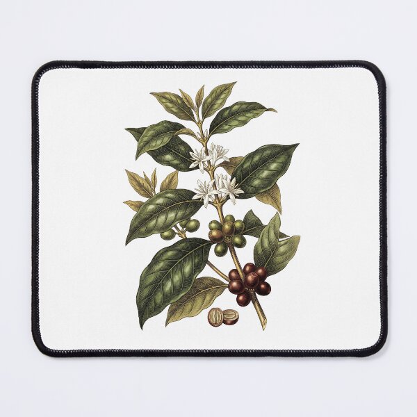 Item preview, Coffea Arabica Botanical Plate designed and sold by AURA Vibes.