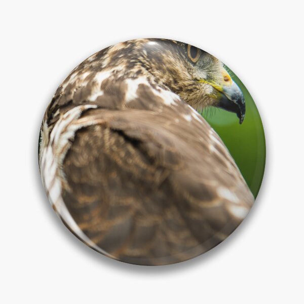 Item preview, Majestic Hawk Bird of Prey Fine Art Photography designed and sold by ThaCriações.