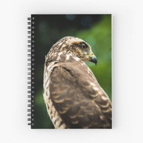 Item preview, Majestic Hawk Bird of Prey Fine Art Photography designed and sold by ThaCriações.