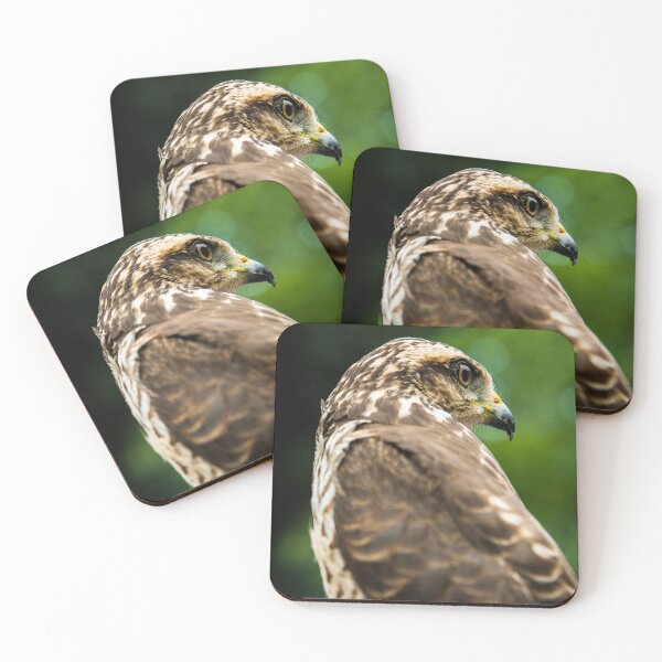 Item preview, Majestic Hawk Bird of Prey Fine Art Photography designed and sold by ThaCriações.