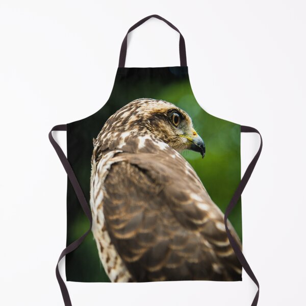Item preview, Majestic Hawk Bird of Prey Fine Art Photography designed and sold by ThaCriações.