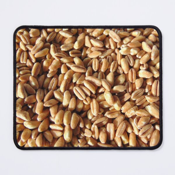 Item preview, Spelt grain natural background, isolated. designed and sold by ollgast5.