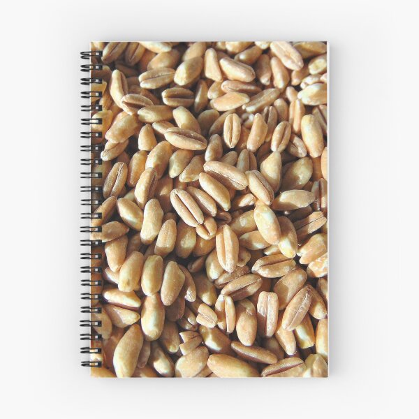 Item preview, Spelt grain natural background. Close up of spelt grainst. Vegan, vegetarian food, cereal. designed and sold by ollgast5.