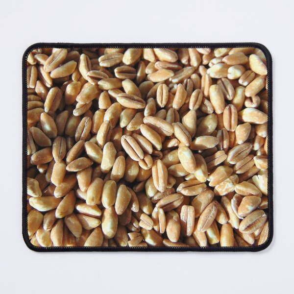 Item preview, Spelt grain natural background. Close up of spelt grainst. Vegan, vegetarian food, cereal. designed and sold by ollgast5.