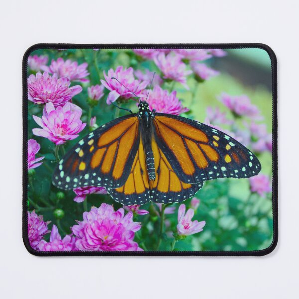 Item preview, Monarch Butterfly & Purple Flowers designed and sold by Creek Nymph Photography.