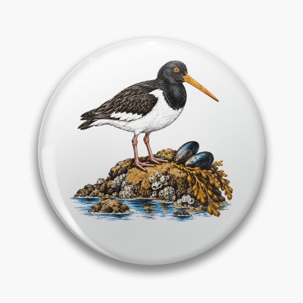 Item preview, Vintage Oystercatcher Coastal Bird Seashore Wildlife Nature designed and sold by Moizento.