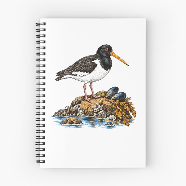 Item preview, Vintage Oystercatcher Coastal Bird Seashore Wildlife Nature designed and sold by Moizento.