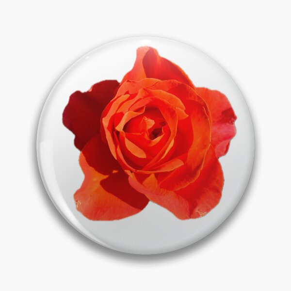 Item preview, Orange Rose designed and sold by fruityxart.
