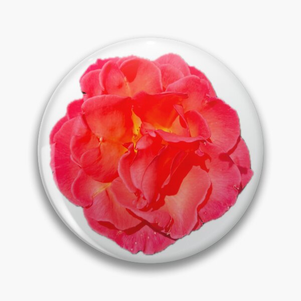 Item preview, Fuchsia Rose designed and sold by fruityxart.