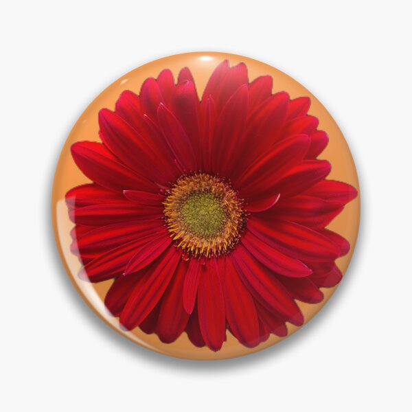 Item preview, Red Gerber Daisy designed and sold by ambervpk.