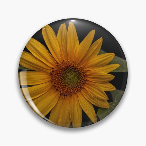 Item preview, A different kind of sunshine.... designed and sold by Jennifer Michalski.