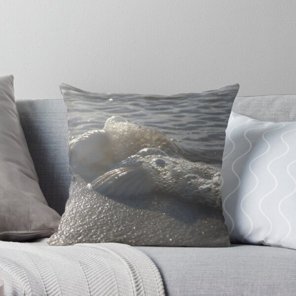 Item preview, Shells on the beach designed and sold by Barnzymedia.