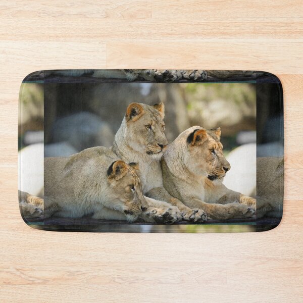 Item preview, Three Lionesses Resting Together designed and sold by Savannah Gibbs.