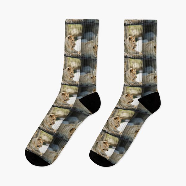 Item preview, Three Lionesses Resting Together designed and sold by Savannah Gibbs.