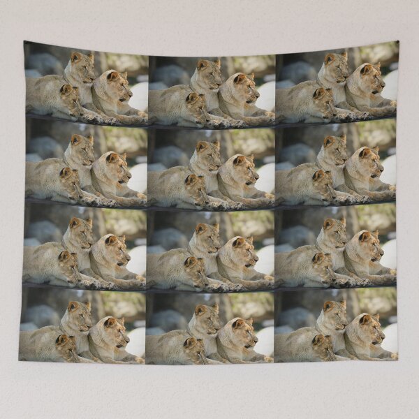 Item preview, Three Lionesses Resting Together designed and sold by Savannah Gibbs.