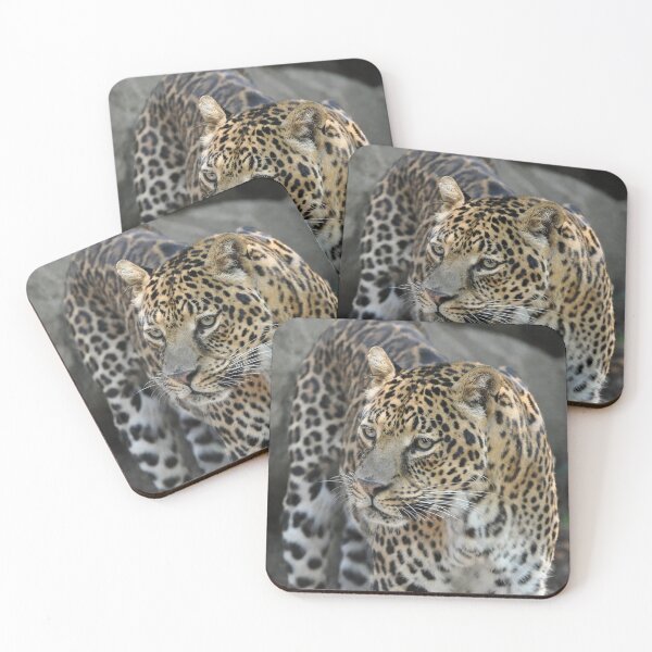 Item preview, Majestic Leopard in the Wild designed and sold by Savannah Gibbs.