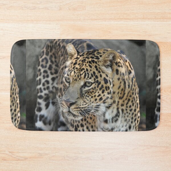 Item preview, Majestic Leopard in the Wild designed and sold by Savannah Gibbs.