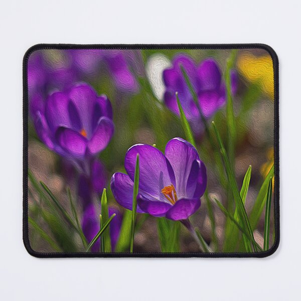 Item preview, Blooming crocuses with a painted effect designed and sold by yuretzius.