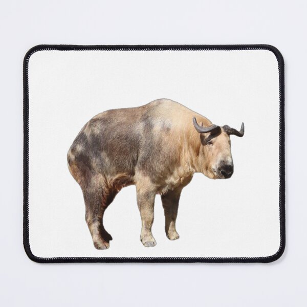 Item preview, Takin designed and sold by TurtlesPhotoCo.