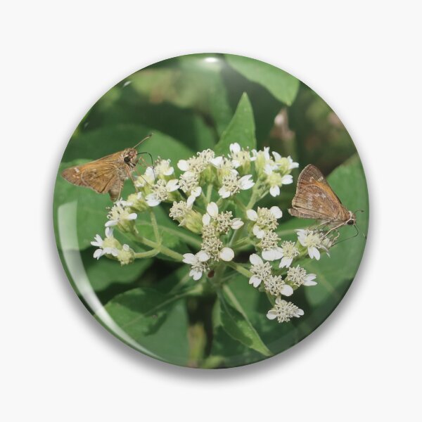 Item preview, Moths on Flower designed and sold by TurtlesPhotoCo.