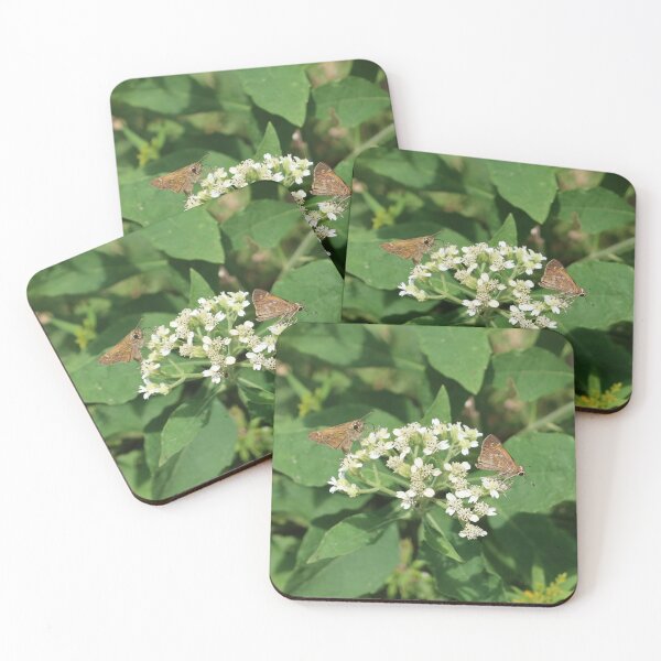 Item preview, Moths on Flower designed and sold by TurtlesPhotoCo.