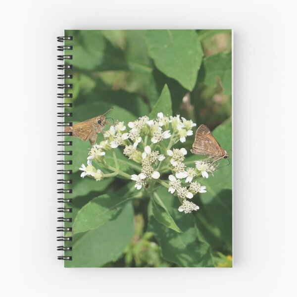 Item preview, Moths on Flower designed and sold by TurtlesPhotoCo.