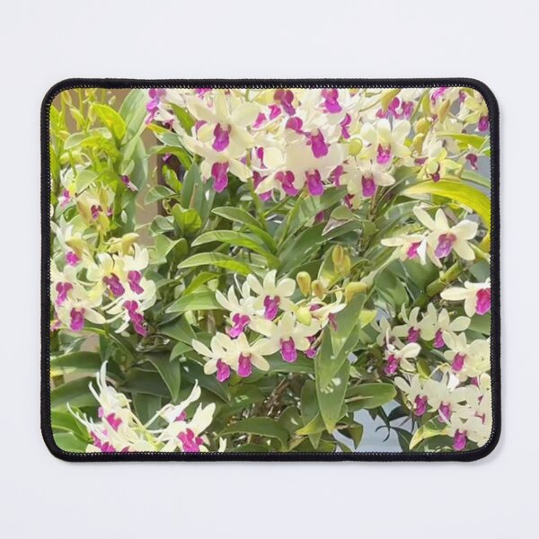 Item preview, Full Orchid designed and sold by Ameliatra Design.
