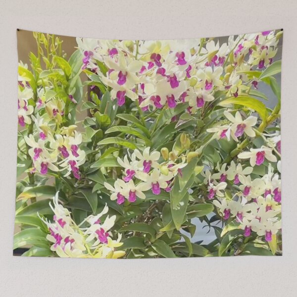 Item preview, Full Orchid designed and sold by Ameliatra Design.