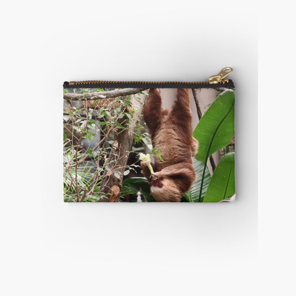 Item preview, Sloth Hanging designed and sold by TurtlesPhotoCo.
