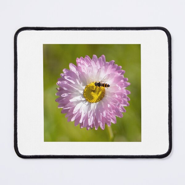 Item preview, Hoverfly on Pink Daisy designed and sold by MirrorsFineArt.