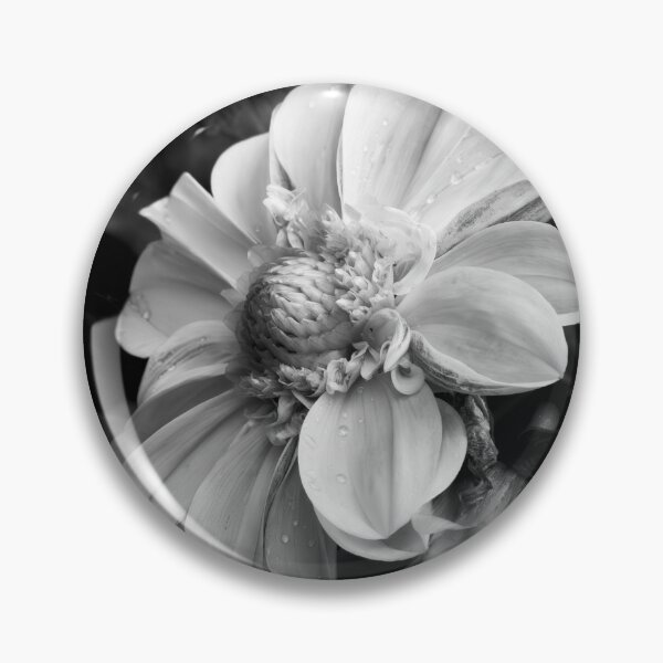 Item preview, Dahlia Bloom designed and sold by MirrorsFineArt.