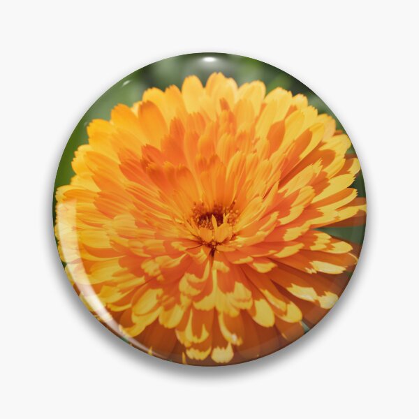 Item preview, Marigold Bloom designed and sold by MirrorsFineArt.
