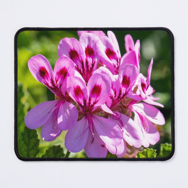 Item preview, Pink Geranium designed and sold by MirrorsFineArt.