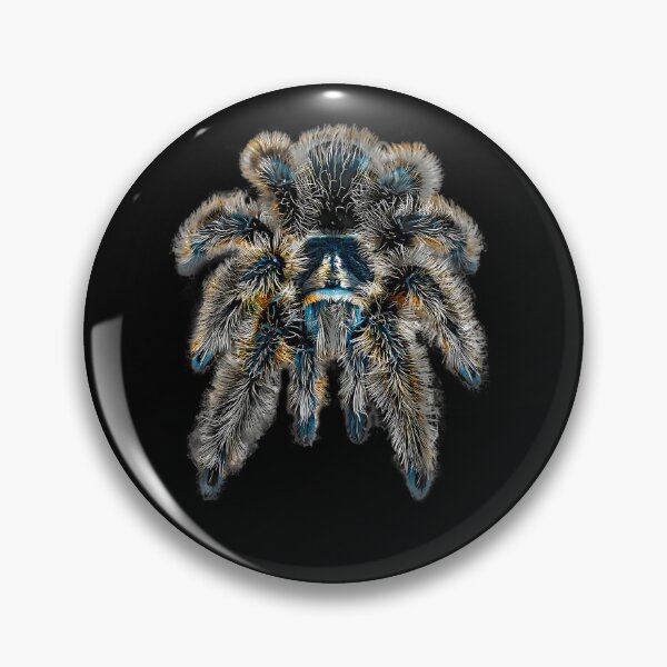 Item preview, Hairy Tarantula Spider Macro Photography Art designed and sold by WhitneyJGrieve.