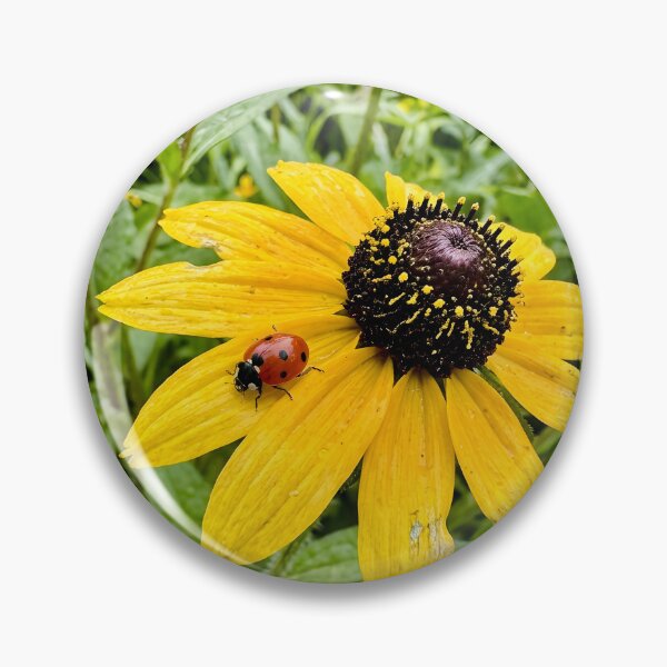 Item preview, Tiny Red Ladybug On Yellow Coneflower Petal designed and sold by donekerry.