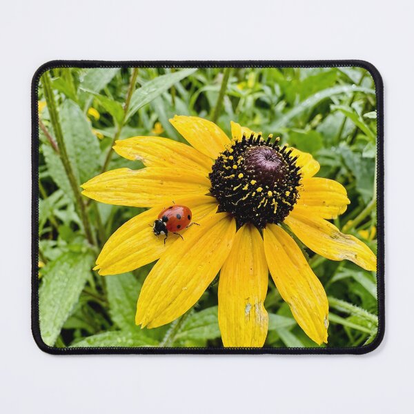 Item preview, Tiny Red Ladybug On Yellow Coneflower Petal designed and sold by donekerry.