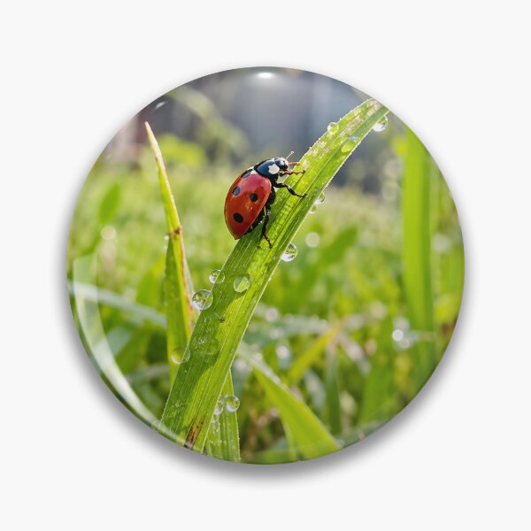 Item preview, Red Ladybug Climbing Dewy Green Grass Blade designed and sold by donekerry.