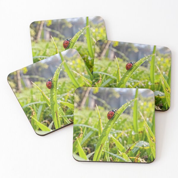 Item preview, Red Ladybug Climbing Dewy Green Grass Blade designed and sold by donekerry.