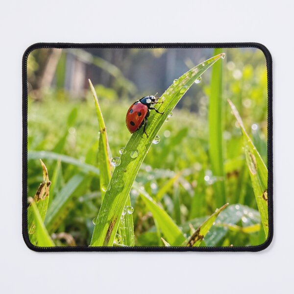 Item preview, Red Ladybug Climbing Dewy Green Grass Blade designed and sold by donekerry.