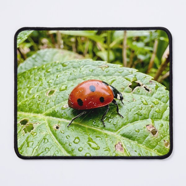 Item preview, Little Red Ladybug Resting On Wet Green Leaf designed and sold by donekerry.