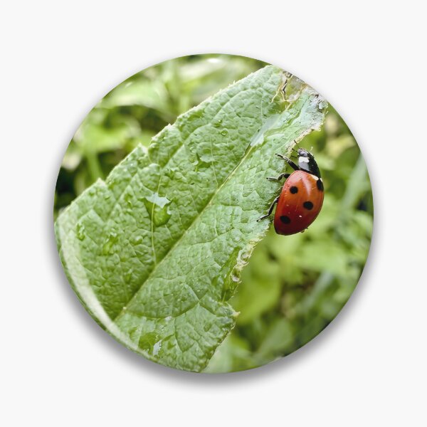 Item preview, Curious Ladybug Crawling Along Textured Leaf Edge designed and sold by donekerry.